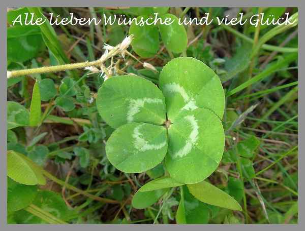 Gute Wünsche und  Glück