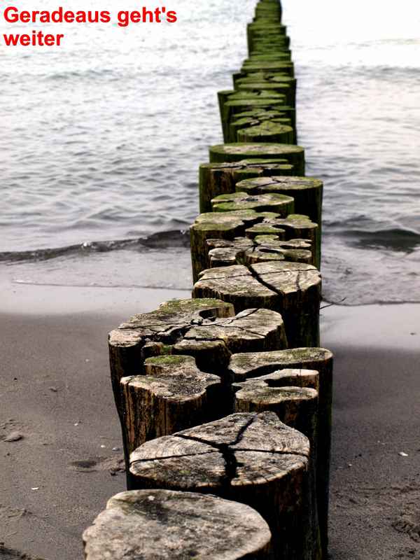 Geradeaus geht's weiter