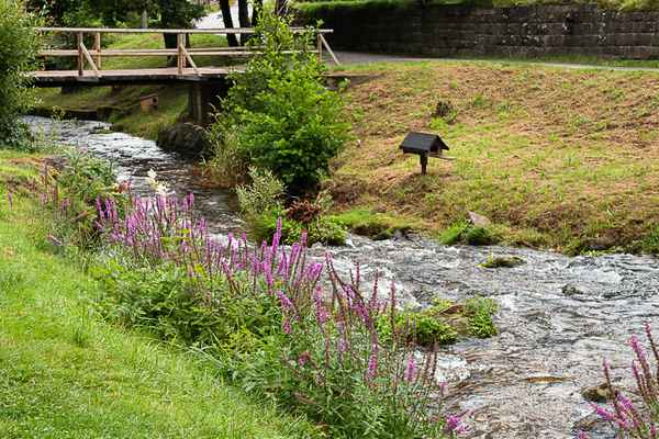 Kleiner Wildbach
