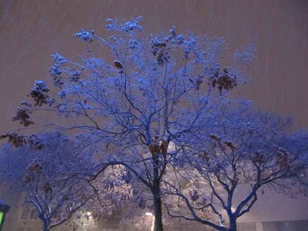 Mit Blaulicht im Schneeregen