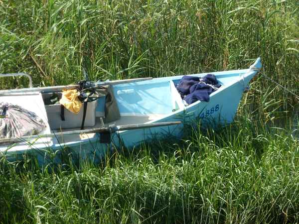 Fischerboot im Schilf