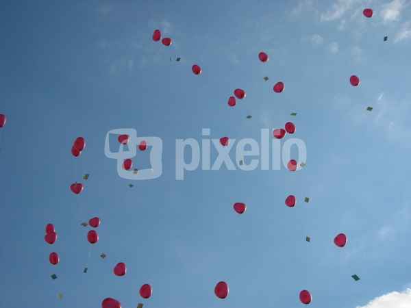 Herzluftballons gen Himmel