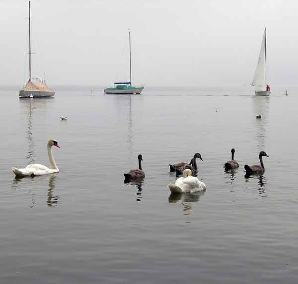 Diessen/Ammersee (4)
