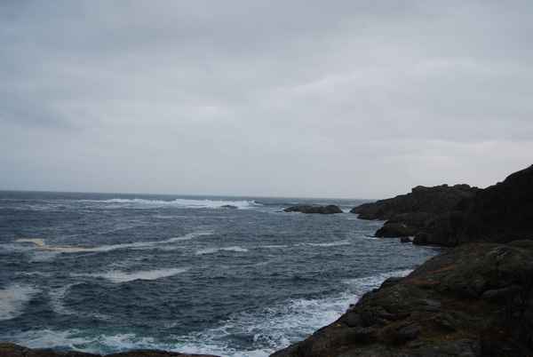 Meer