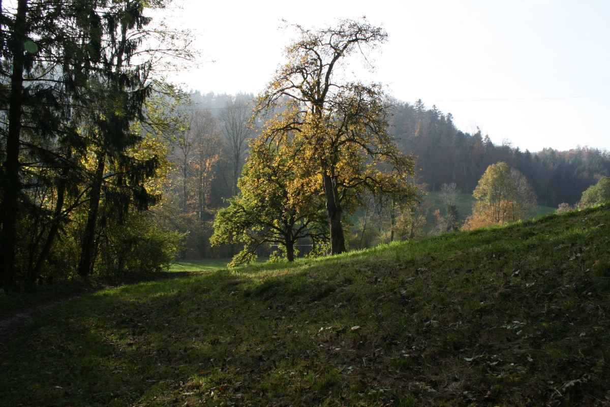 Herbstwanderung an der Sitter