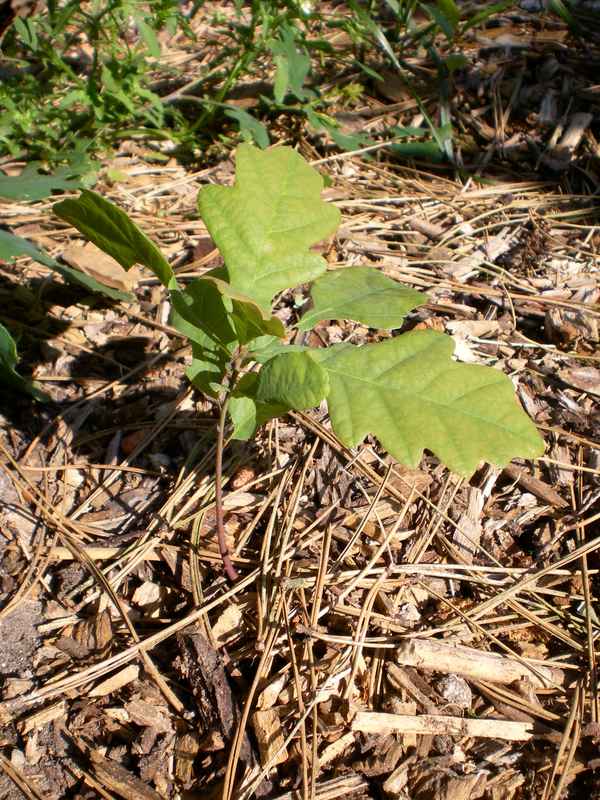 Jeder fängt mal klein an