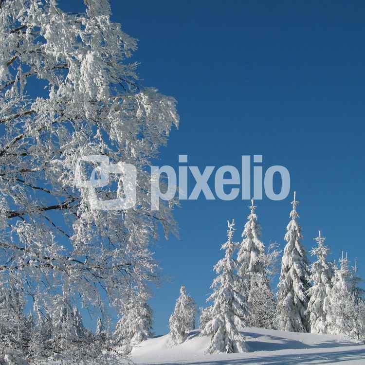 Schwarzwaldwinter_2