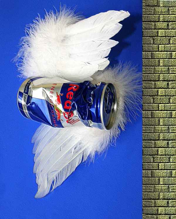 KEIN FLUG OHNE FLUGLIZENZ........SONST BEULE