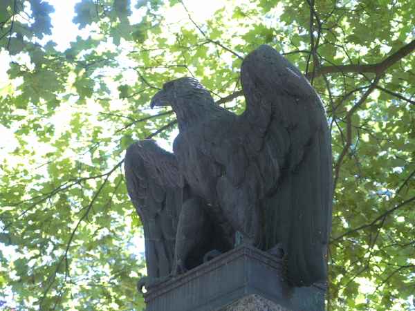 adler