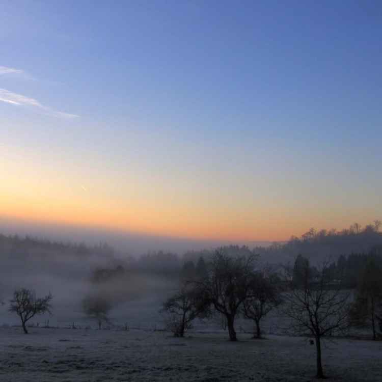 Novembermorgen