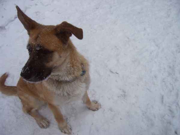 Marscha im Schnee...