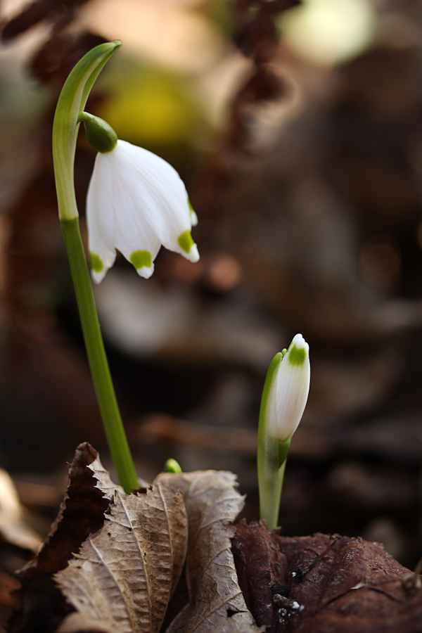 wir haben es geschafft