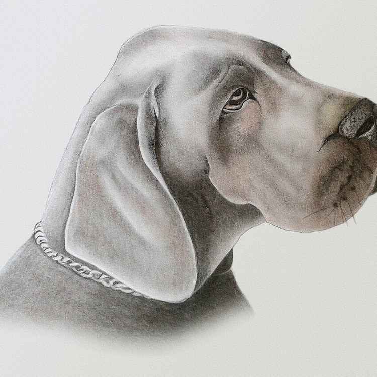 Zeichnung Kohle-Pastell Lewis