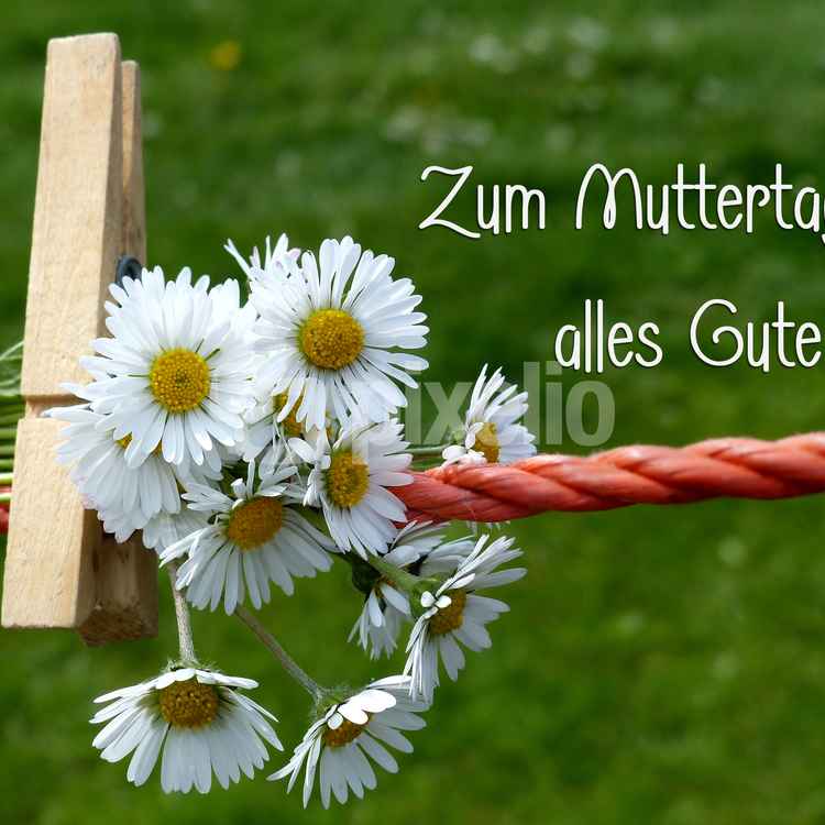 Zum Muttertag