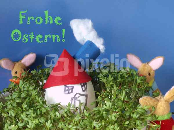Gruß aus Hasenhausen . . . my home is my castle