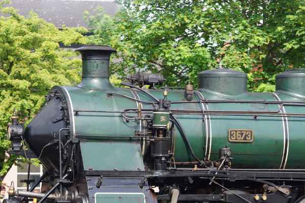 Hundertjährige Schönheit