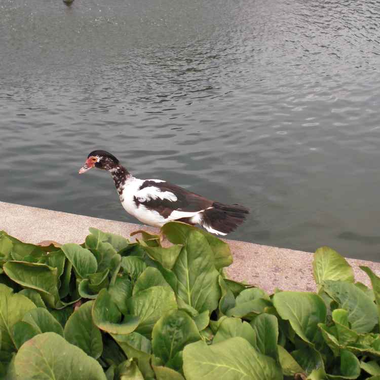 Zu kalt im Wasser?