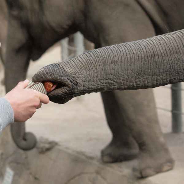 Weg ist die Kinderhand