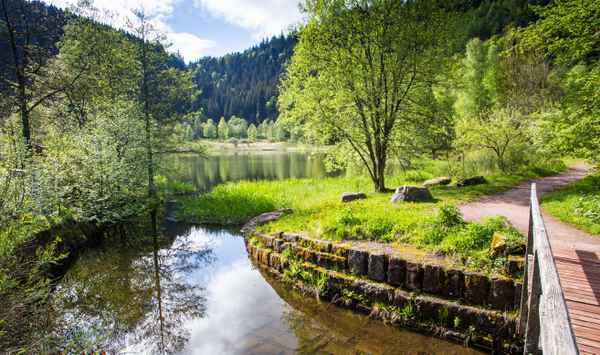 Sankenbachsee bei Baiersbronn 5
