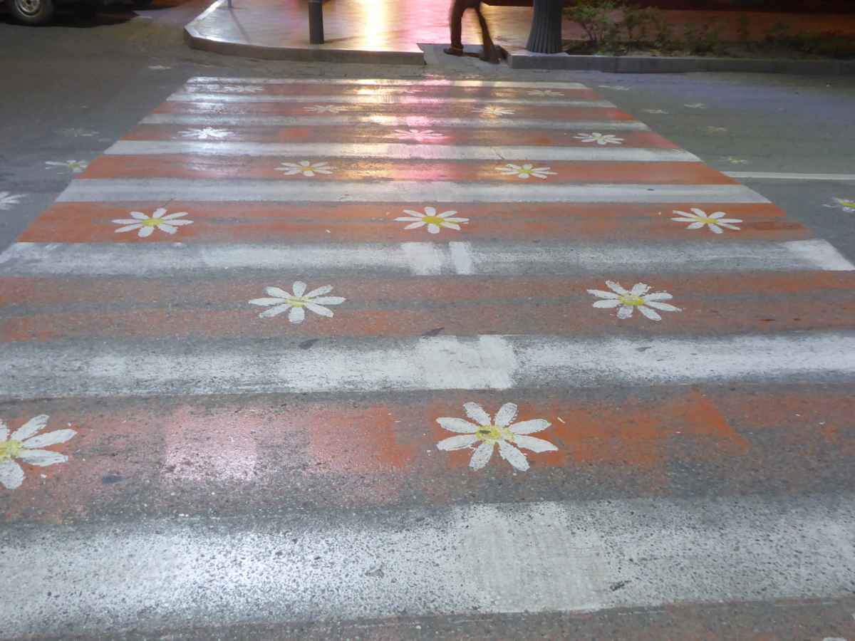 Blumiger Zebrastreifen