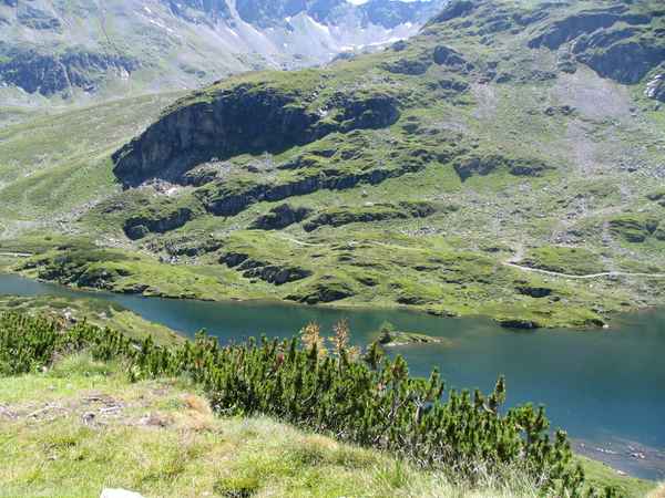 Sommer im Hochgebirge15