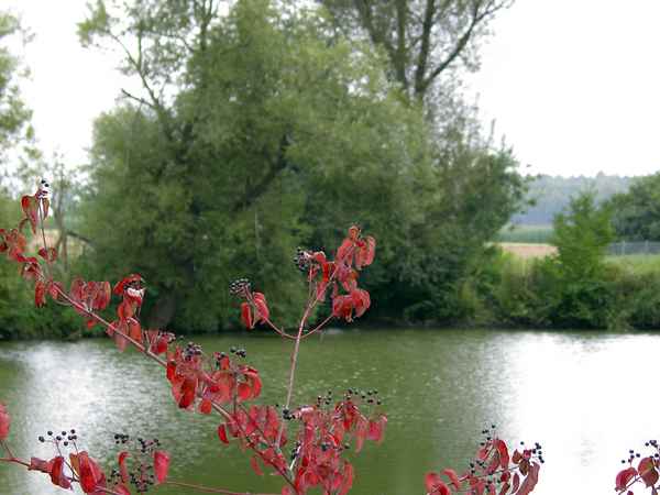 Rot auf Grün