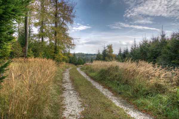 Der Teutoburger Wald im Oktober I