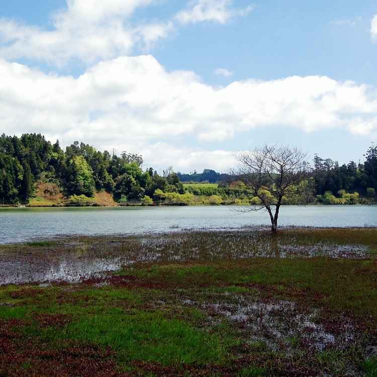 Lagoa das Furnas