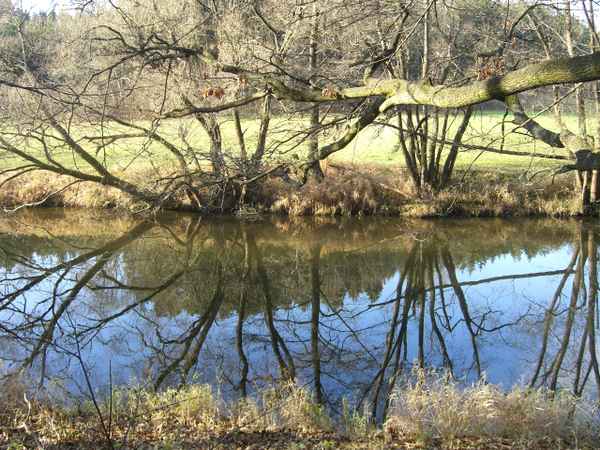Thaya bei Raabs