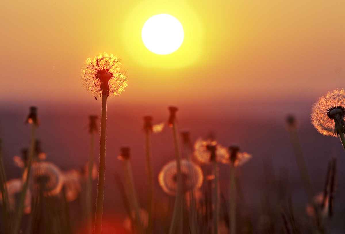 Lichtfülle