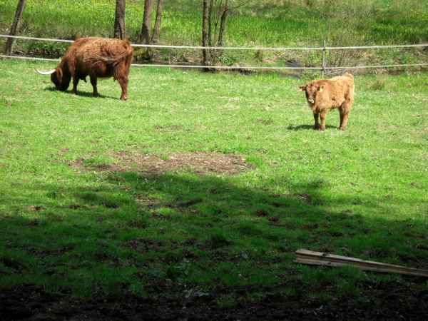 Wandern im Spessart / 19