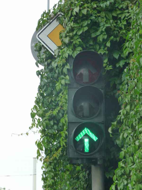 grüne Ampel