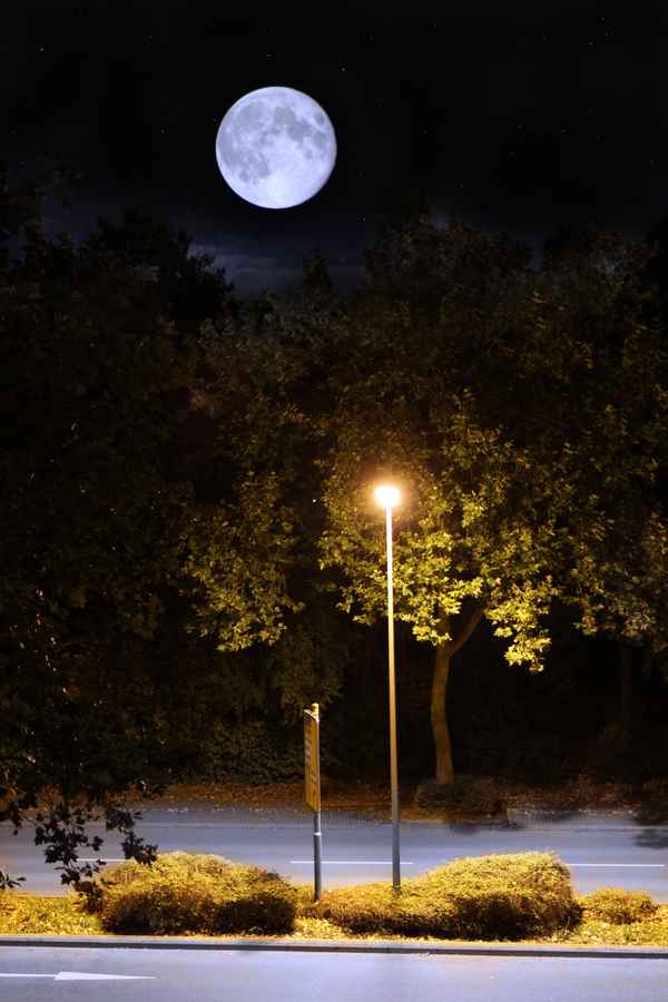 Sommernacht mit Mond