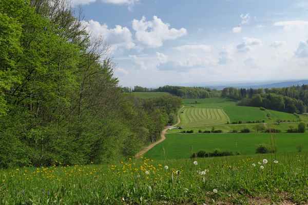 Schau ins Land