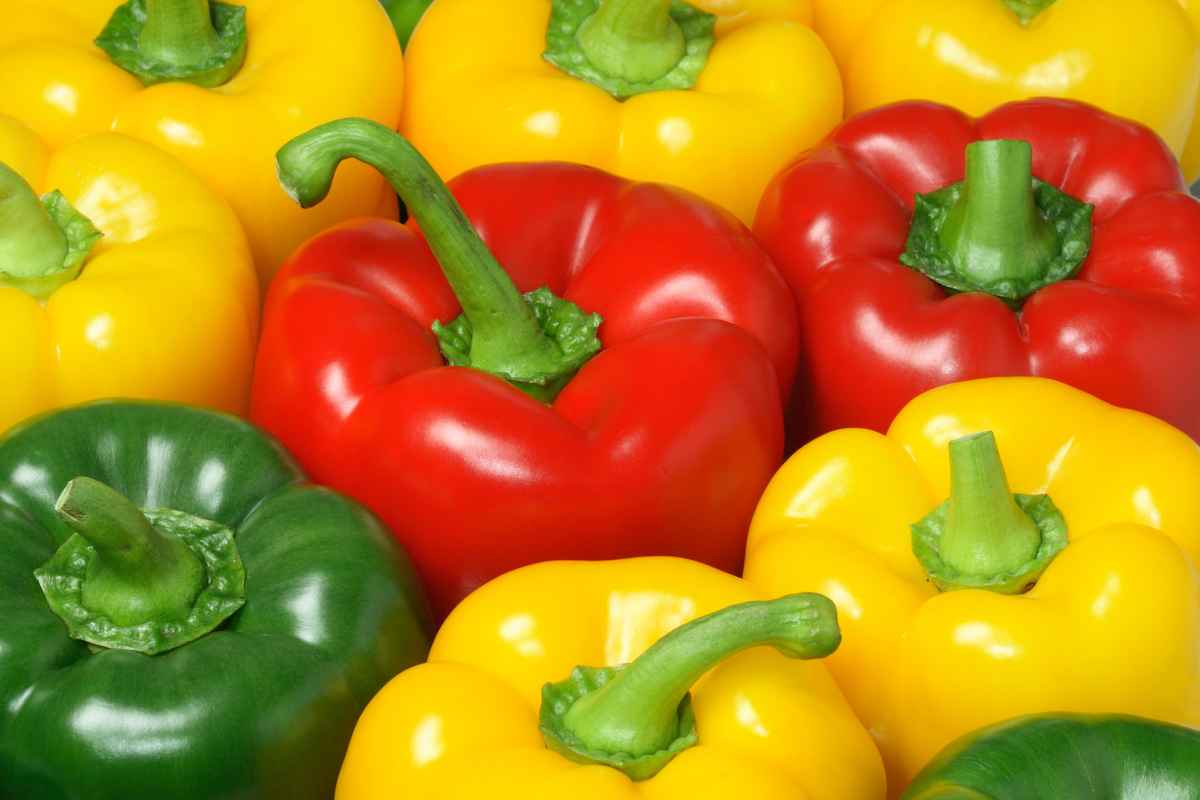 Paprika