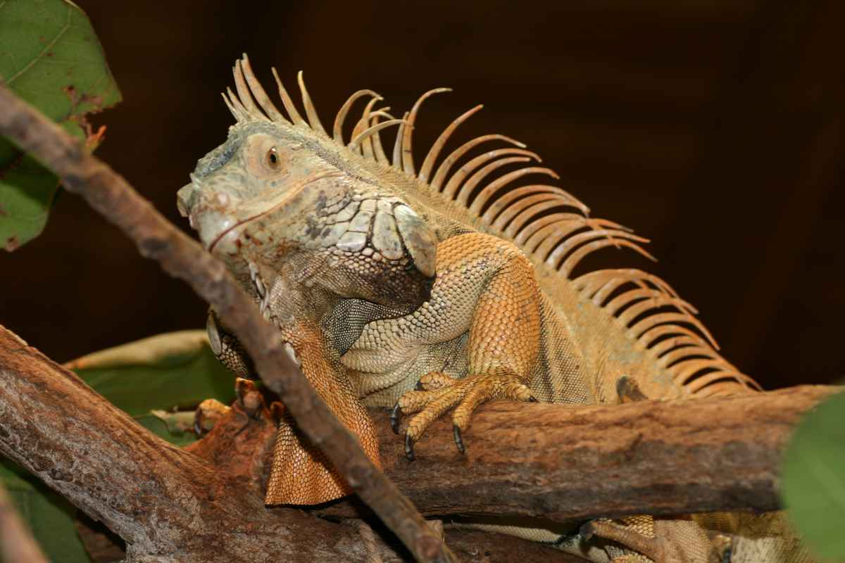 neulich im Zoo 3