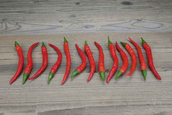 Paprika, Chili, Peperoni &#8211; fein säuberlich aufgereiht