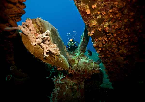 Am Wrack der Hilma Hooker