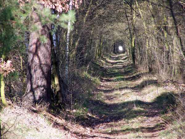 Licht am Ende des Tunnels