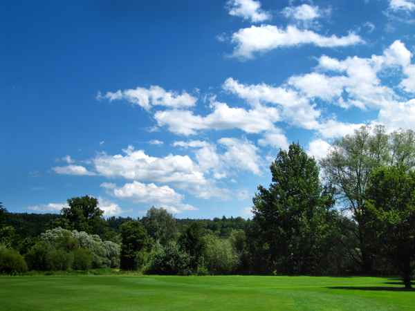 Pralle Natur Wiese Laubwald Wolken