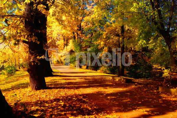 der goldene oktober um den dutzendteich