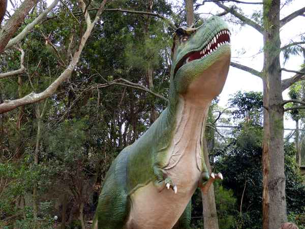 Dinosaurier 3