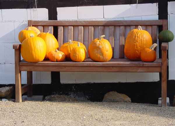 Herbstbank