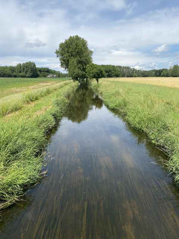 Niersradweg