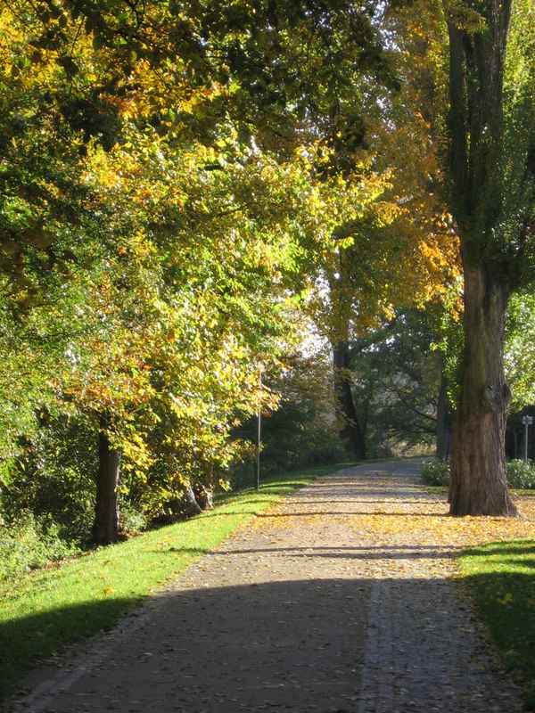 Herbst2005 038