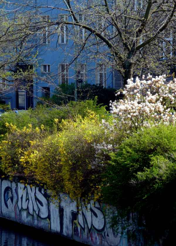 Frühling am Landwehrkanal
