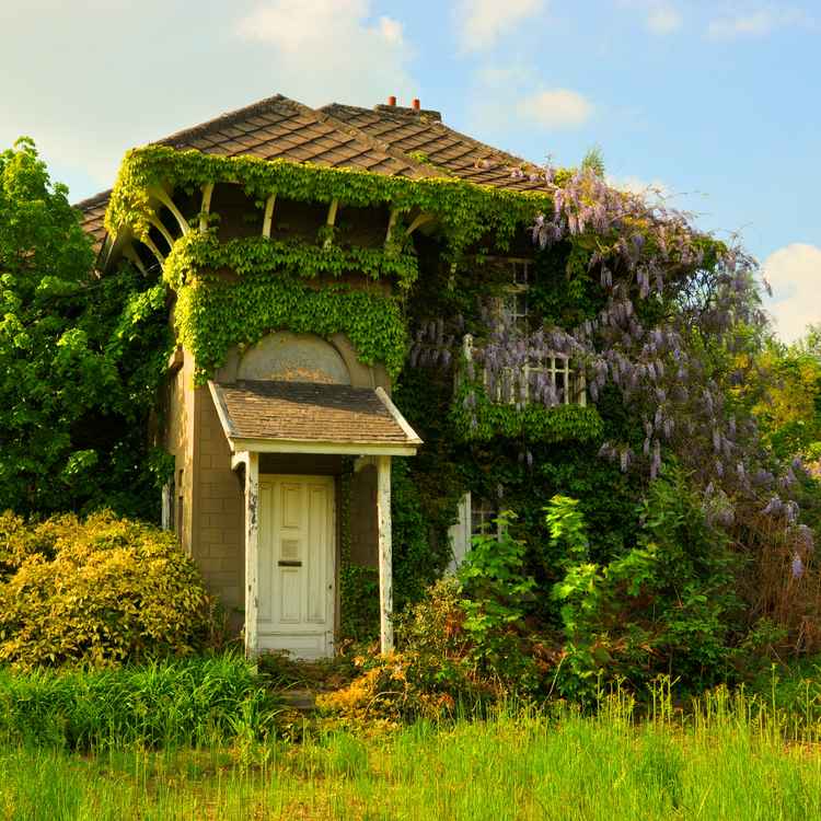 traumhaus