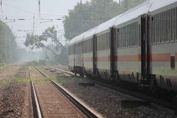 Zugunfall: IC gegen Baum