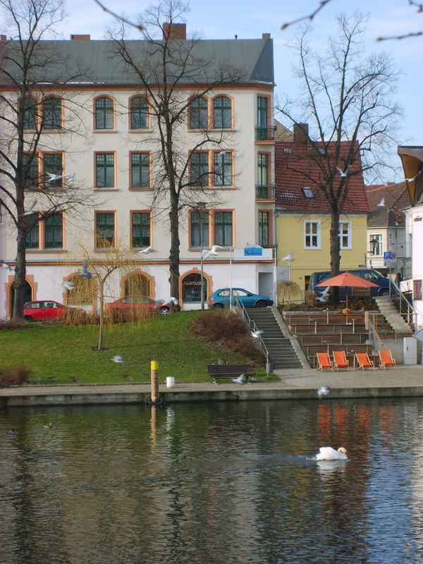 Schön saniert IV - mit Schwan