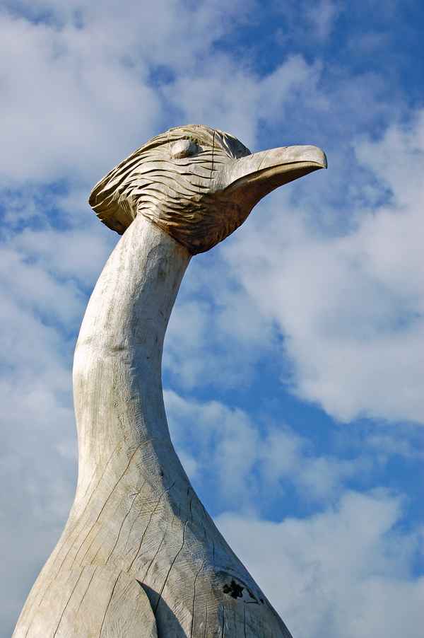 See(h)vogel